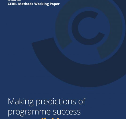 Making predictions of programme success more reliable