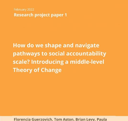 How do we shape and navigate pathways to social accountability scale? Introducing a middle-level Theory of Change
