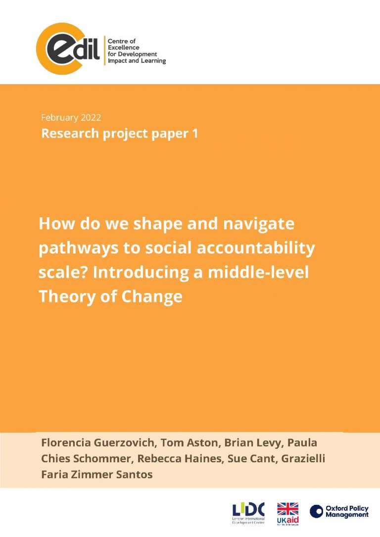 How do we shape and navigate pathways to social accountability scale? Introducing a middle-level Theory of Change