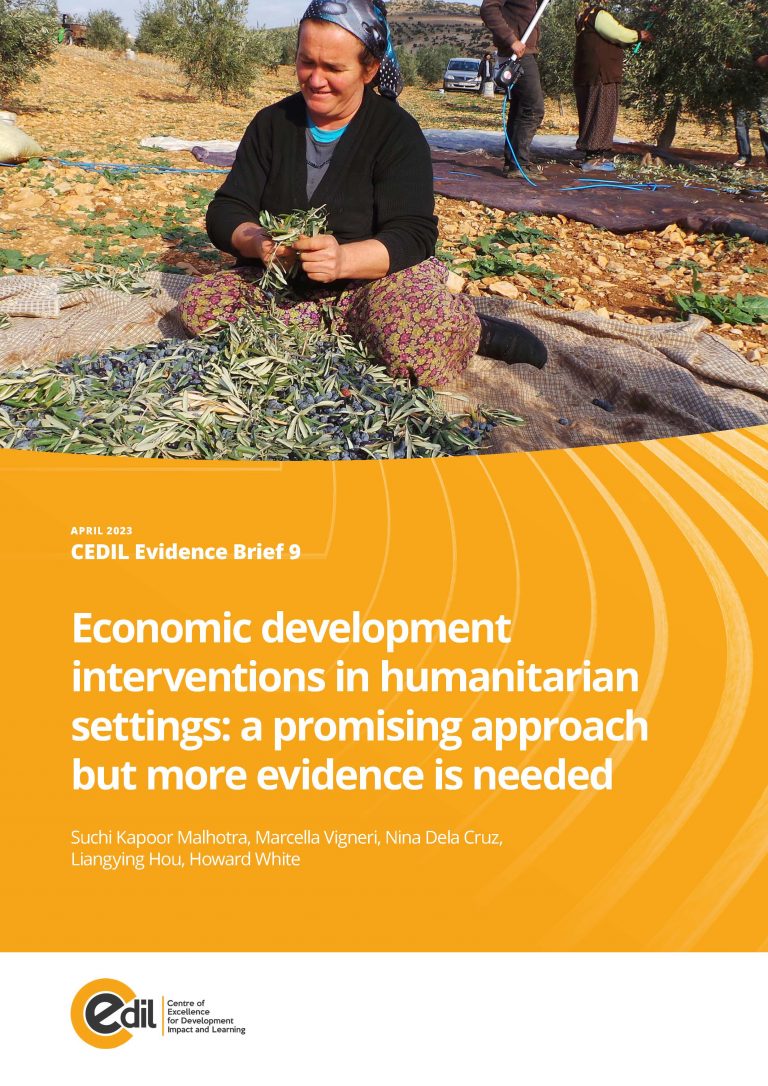 Economic development interventions in humanitarian settings: a promising approach but more evidence is needed